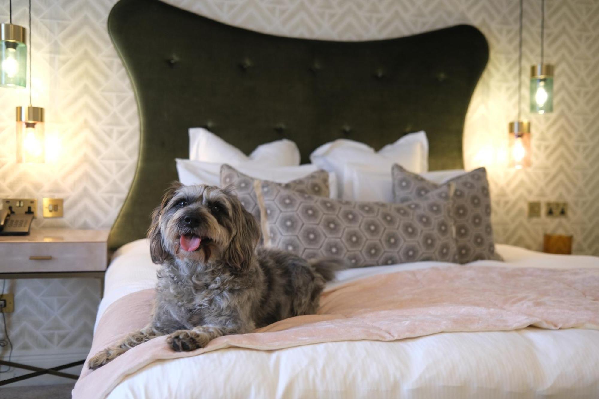 Gonville Hotel Cambridge  Bagian luar foto